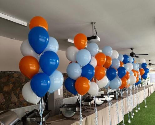 ucan.balon.ayni.gun.teslim